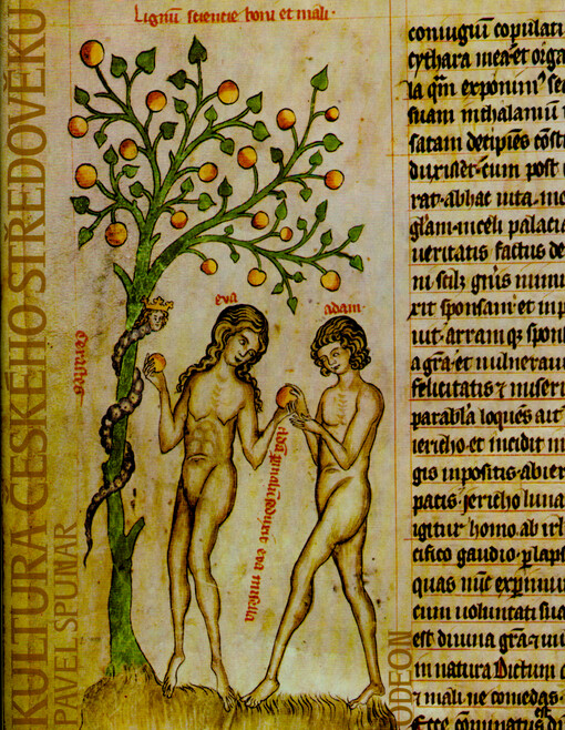 Kultura českého středověku