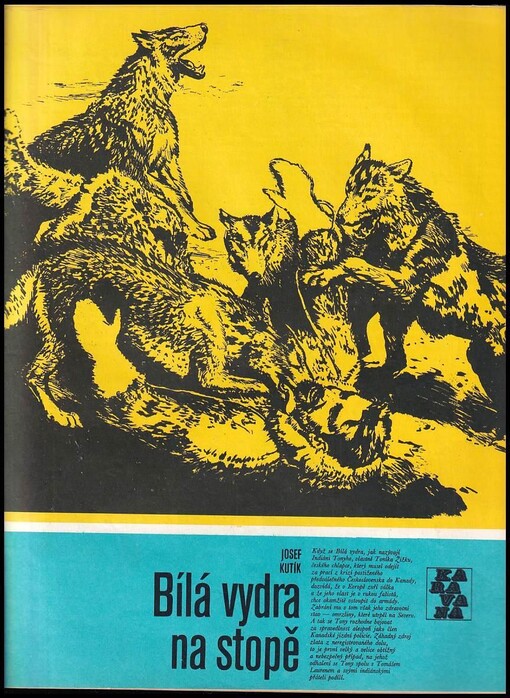 Bílá vydra na stopě