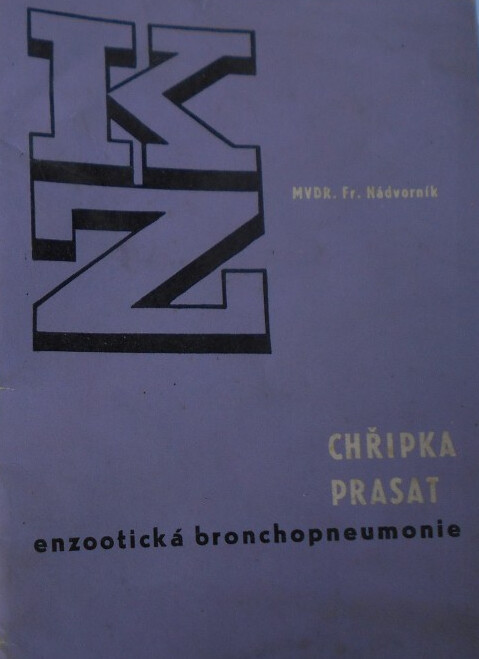 Chřipka prasat : (enzootická bronchopneumonie)